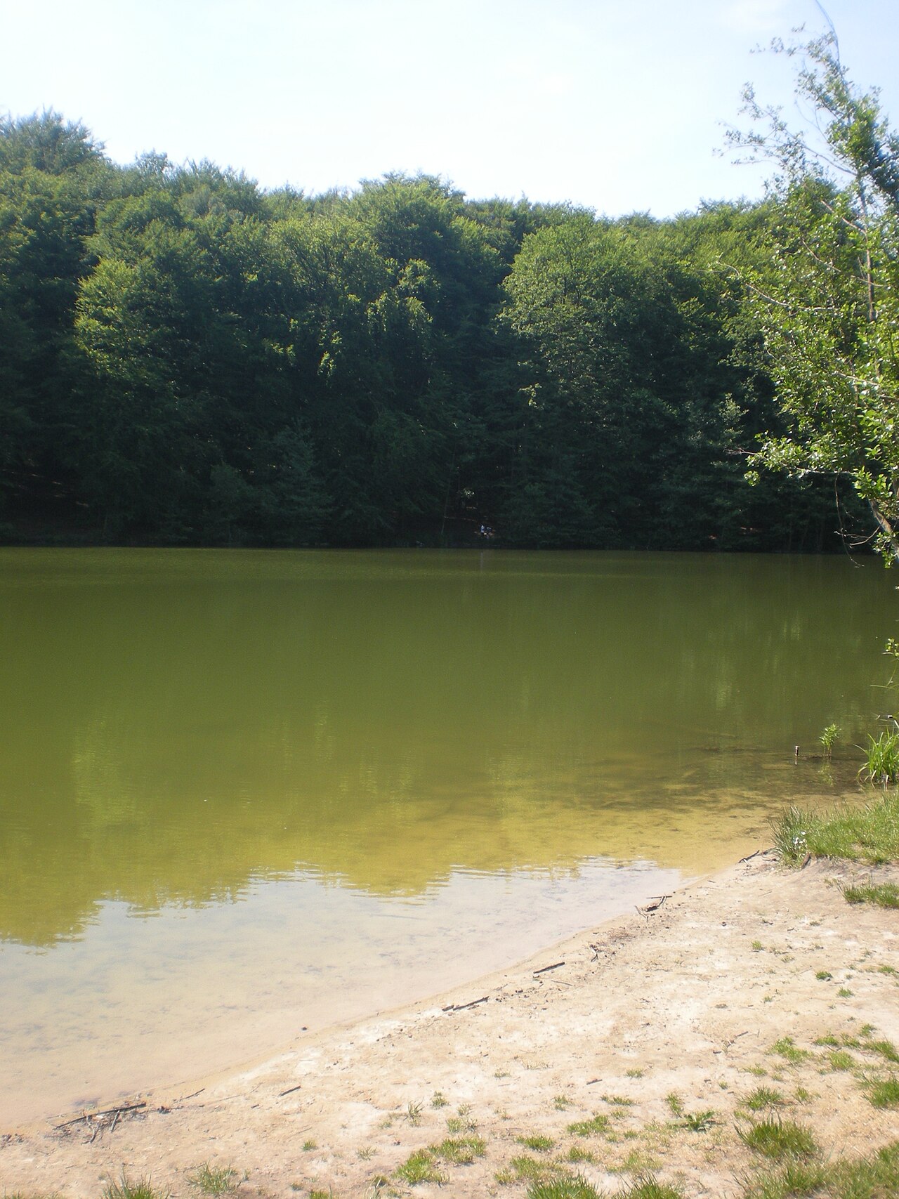 Étang et forêt de Hez-Froidmont près du Château de Ravenel